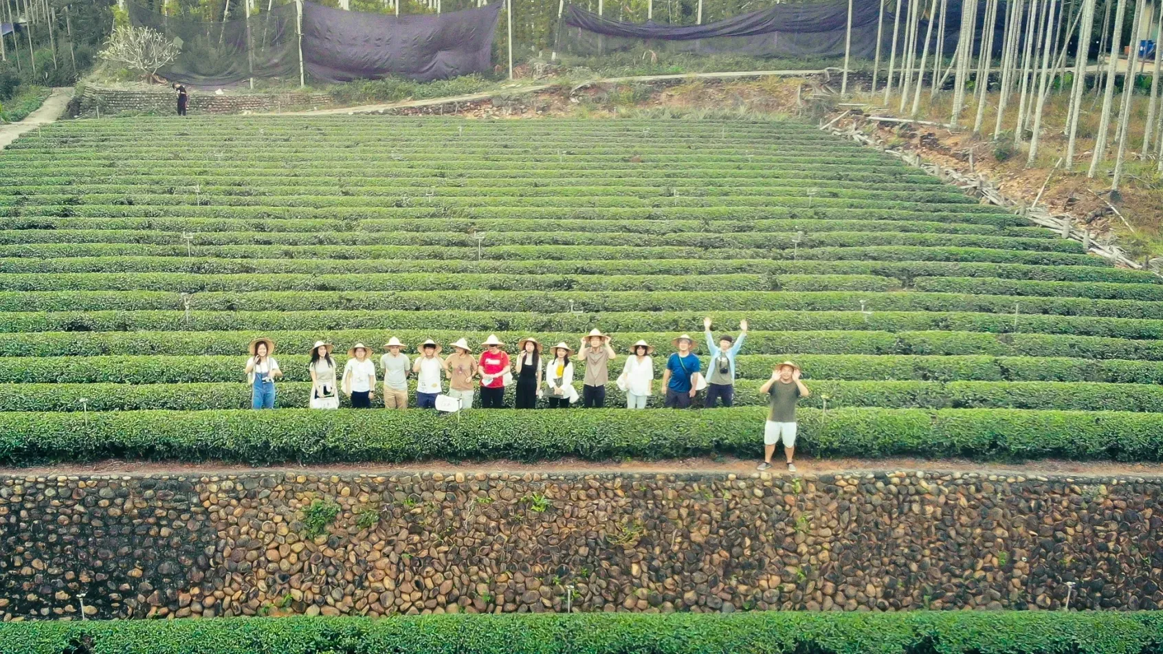 Line Album 空拍空拍 211112 9 Cropped 1
